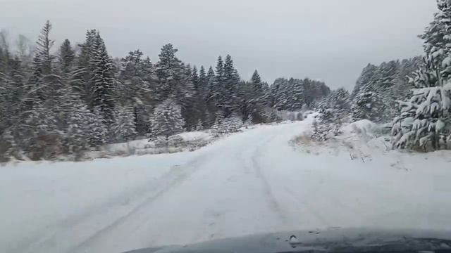 Такую красоту встретишь не везде! Уральская природа зимой.#Урал#зима# зимний_лес#погода#климат