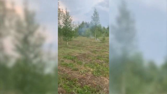 Петарды FPC609/2 Джокер от сети пиротехнических магазинов 