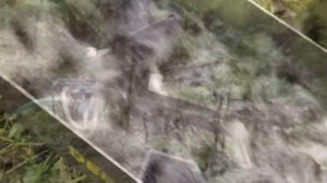 Производственные испытания.  Мини-драгой "Дипсис" для поиска золота.