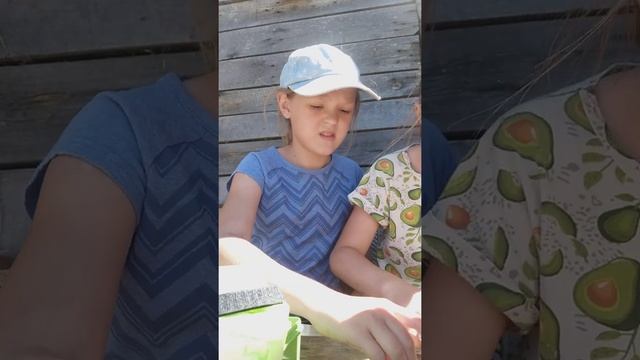 игрушка для кота бантик с пуговицами и кое-что ещё? смотреть онлайн