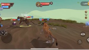 КЛАН В ВАЙЛД КРАФТ НАДО ЛИ СОЗДАВАТЬ