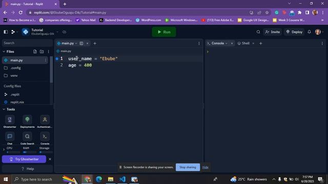 Python Variables(2023) смотреть онлайн