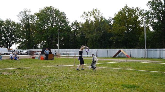 Бабынина А. и б.к. Proud Pacamaker - Дог Пуллер Чемпионат, Ярославль, 21.06.2014 смотреть онлайн