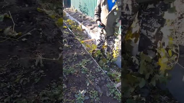 Виногдарь Володя-5 Забыл свои слова смотреть онлайн