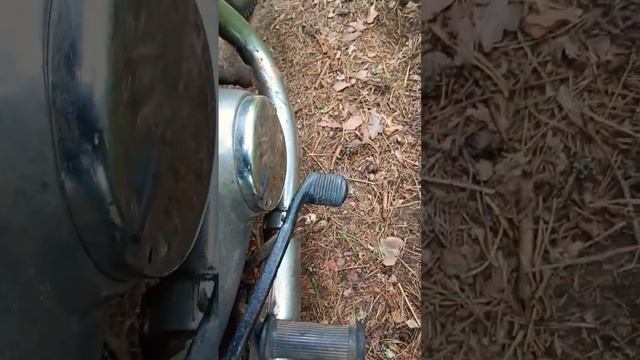 В лесу и такое бывает #Иж #Юпитер #Тормоза #Лес #Мотоцикл смотреть онлайн