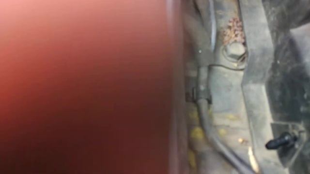 снять жабо кия рио 2 смотреть онлайн