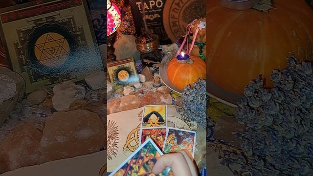 БЕЛОЕ И ЧЕРНОЕ смотреть онлайн