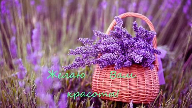 с днём учителя
