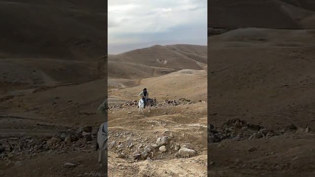 Самый надежный способ оффроуда, это езда на ослике смотреть онлайн