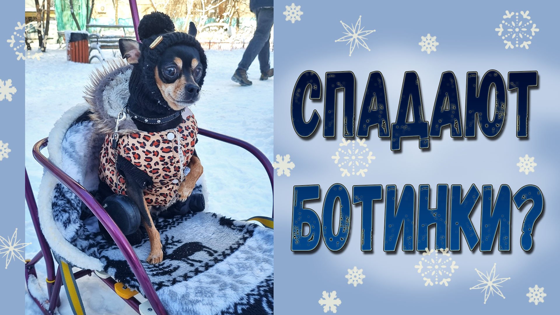 Что делать если с собаки спадают ботинки? смотреть онлайн