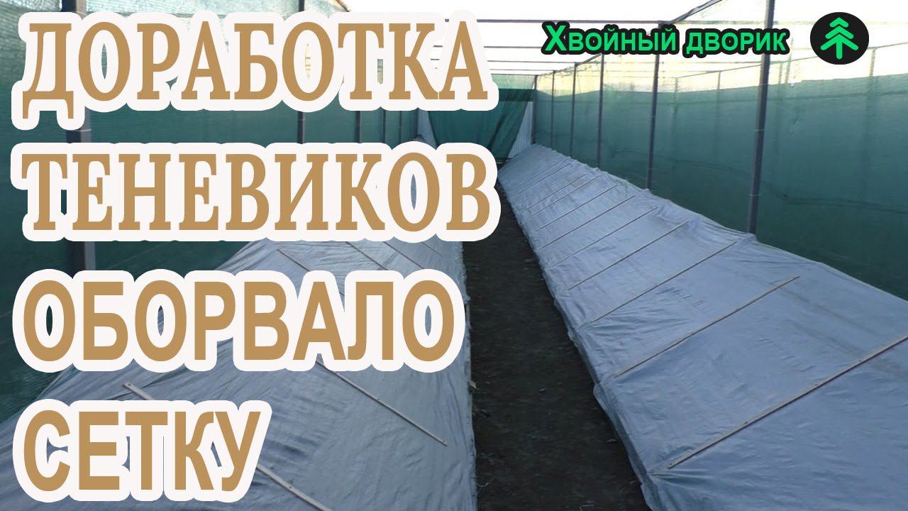 Доработка теневиков с сеянцами хвойных растений в зимний период,питомник "Хвойный дворик" смотреть онлайн