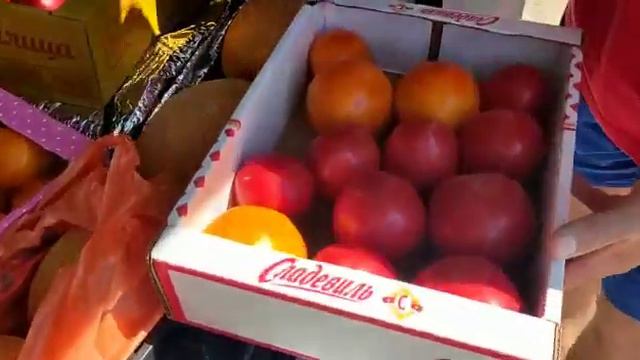 Что нужно успеть до отъезда? Последний день в Крыму. смотреть онлайн