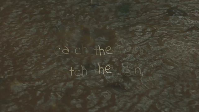 06 Catch The Rain - My Earth Songs - Children's Songs for a Brighter Future смотреть онлайн