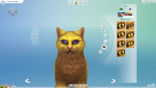 A Transforming Emergency Vet Visit!! ?? Mew Lives: Kitten Rescue Café! • #10 смотреть онлайн