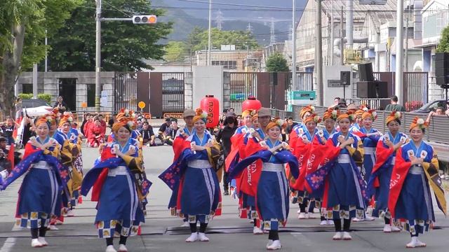 「コンコン豊川」豊川おいでん祭2023【ケヤキ】 смотреть онлайн