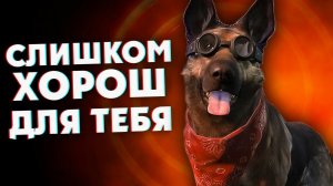 8 НАПАРНИКОВ-ПИТОМЦЕВ, ПОМОЩЬ КОТОРЫХ ВЫ НЕ ЗАСЛУЖИВАЕТЕ