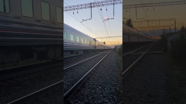 Фирменный поезд «Белые ночи» проезжает о.п «Мяглово» #ржд #поезд #электропоезд смотреть онлайн