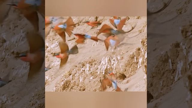 Притчи 1 смотреть онлайн