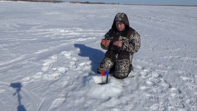 Зимняя рыбалка Невероятно в этом озере на глубине10 метров крупная стая рыбы смотреть онлайн