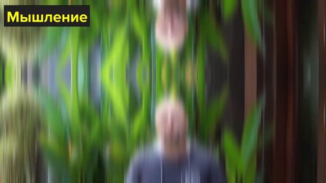 Как полюбить себя? Как повысить самооценку? 500 практических советов. Сфера "Мышление". смотреть онлайн