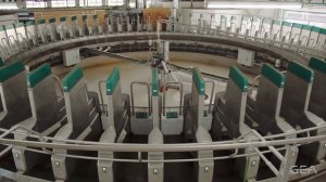 GEA DairyProQ на 60 мест в ЗАО "Племзавод Октябрьский" Кировской области