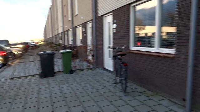 Ютубский КОТ Вечернее Лиссе Голландия смотреть онлайн