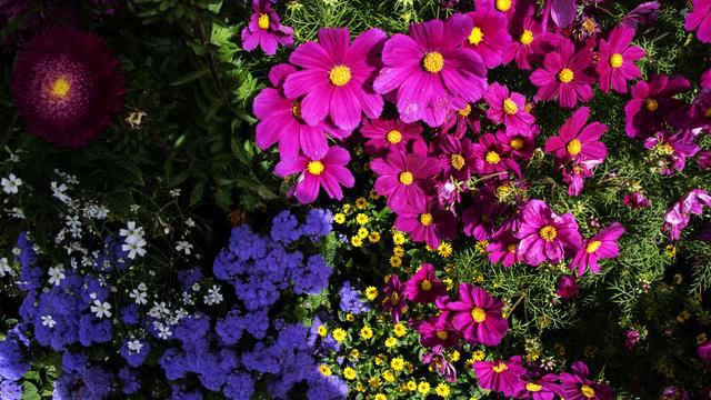 Новые песни и видео онлайн смотреть онлайн