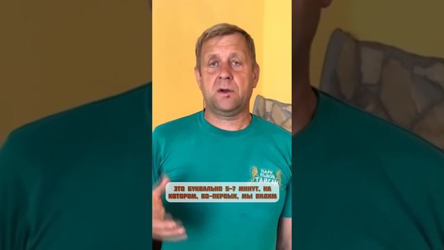 Для чего проводится несколько планёрок в день в парке львов Тайган #велесмастер смотреть онлайн