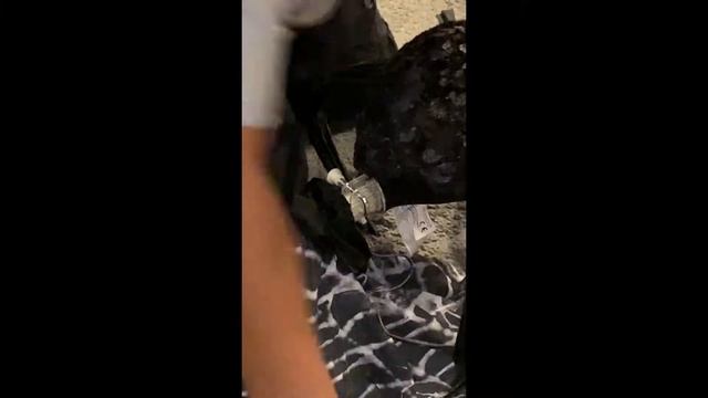 Attack Spider Halloween setup with hilarious brother interruptions! смотреть онлайн