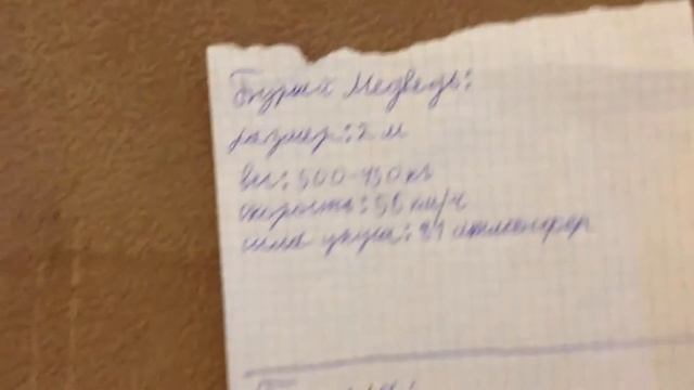 бурый медведь vs гориллы , кто сильней ? битва животных , попросьби канала Ps4 игры . смотреть онлайн