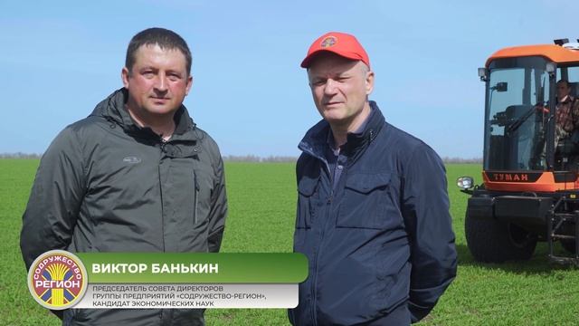 Технология выращивания озимой пшеницы в "Большом Морце" часть I смотреть онлайн