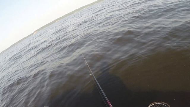 Рыбалка с лодки ПВХ НДНД, HDX 6,2 на реке Волга, Горьковское водохранилище, город Юрьевец. смотреть онлайн