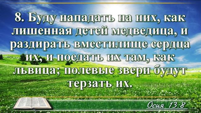 ВидеоБиблия Книга пророка Осии с музыкой глава 13 читаем и слушаем смотреть онлайн