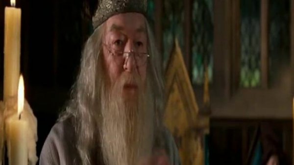 Гриндевальд и Дамблдор