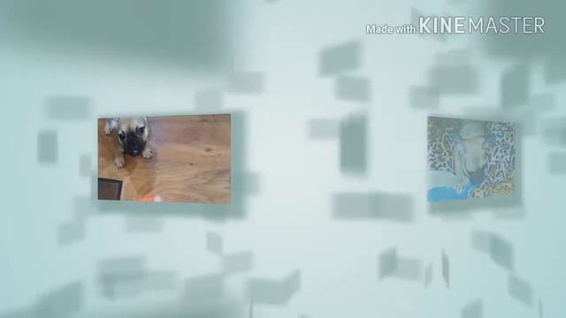 Я когда был маленький!😍 смотреть онлайн