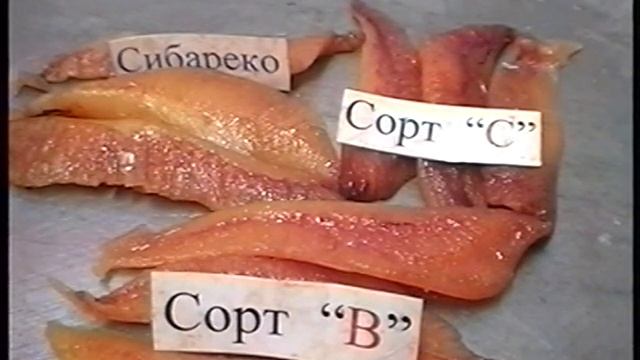 Работа на нерест сельди пб Всеволод Сибирцев смотреть онлайн