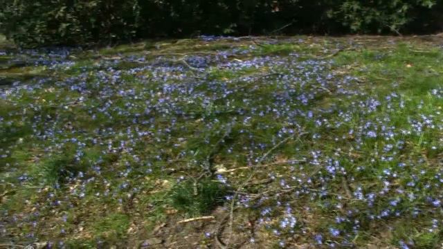 Borås idag 25 mars 2020 - EN ANNAN VINKEL! смотреть онлайн