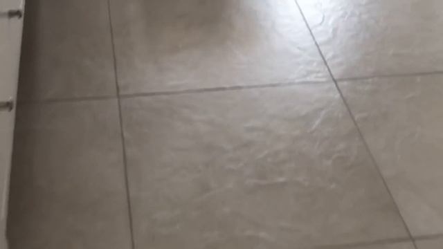 Похоже Михалыч в пролёте! смотреть онлайн