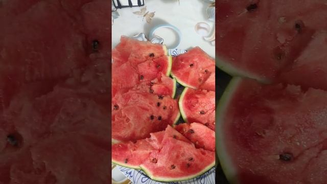 Наслаждаемся дарами осени!!! смотреть онлайн