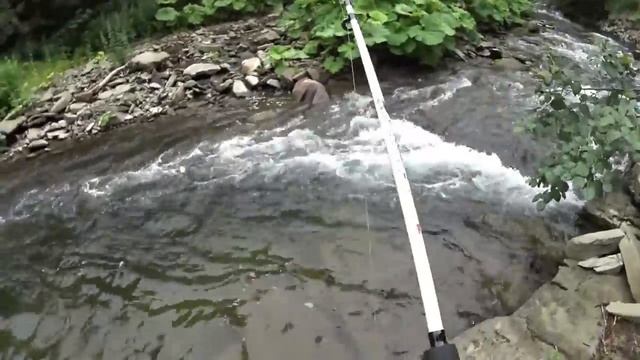 Поход, рыбалка, Белый ключ. Сахалин. смотреть онлайн