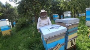 Июль на исходе.  Подводим итоги.  Когда качать мёд. Пасека Лаврова