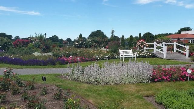 Розы Кордеса часть 7 .2020 смотреть онлайн