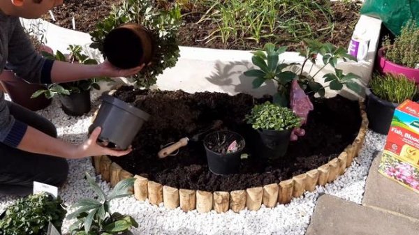 Bring Some Evergreen Colour to Your Garden | Planting an Evergreen Bed