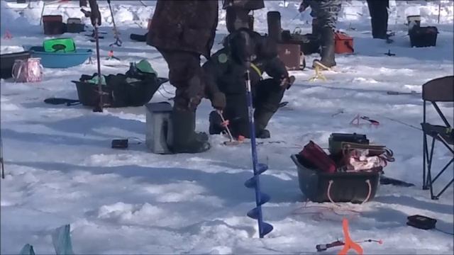 Поимки форели на актив. Спорт-зона. Клёвое место Лосиный остров. смотреть онлайн