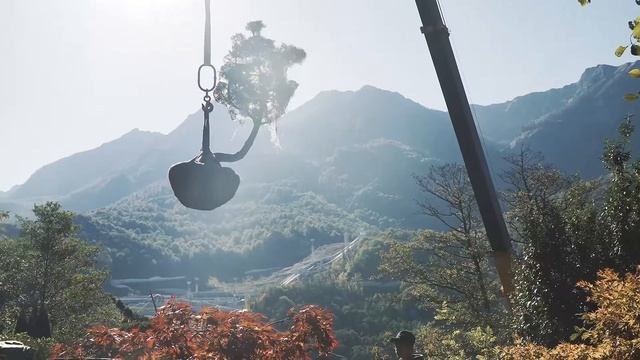 Ниваки для Японского сада смотреть онлайн