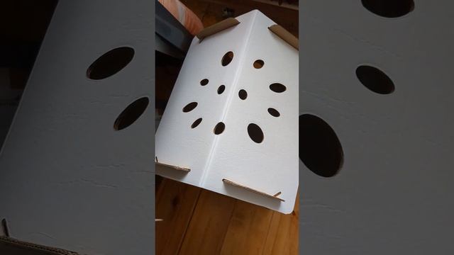 Картонный дом для кошек ,Донские Сфинксы, кошачий дом ,животные в домике ,кошки,лысые кошки смотреть онлайн