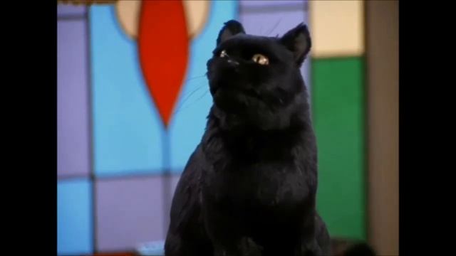 Кот Сэйлем и все ради любви. Сабрина - маленькая ведьма. смотреть онлайн