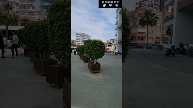 ШИКАРНАЯ БОЛЬШАЯ 2+1 ПОД ВНЖ за ТЦ 