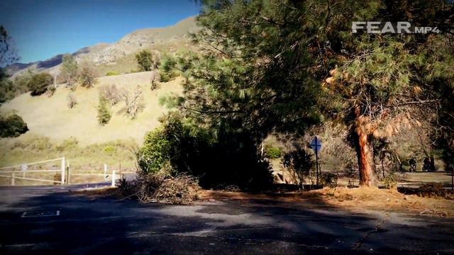 Как двухметровый гигант исчез с лица Земли. Загадочное исчезновение Рико Харриса смотреть онлайн