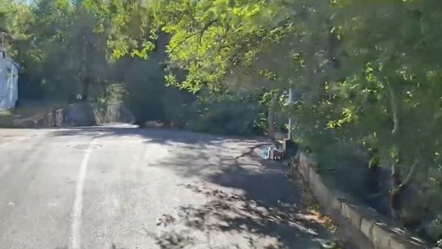 Heybeliada Adada Yaşamak #island #adalar #istanbul #turkey #turkeyvlogs смотреть онлайн